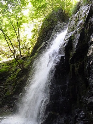 8月　鈴木（原）.jpg